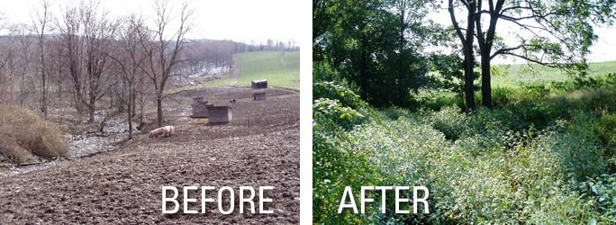 before after erosion control photos